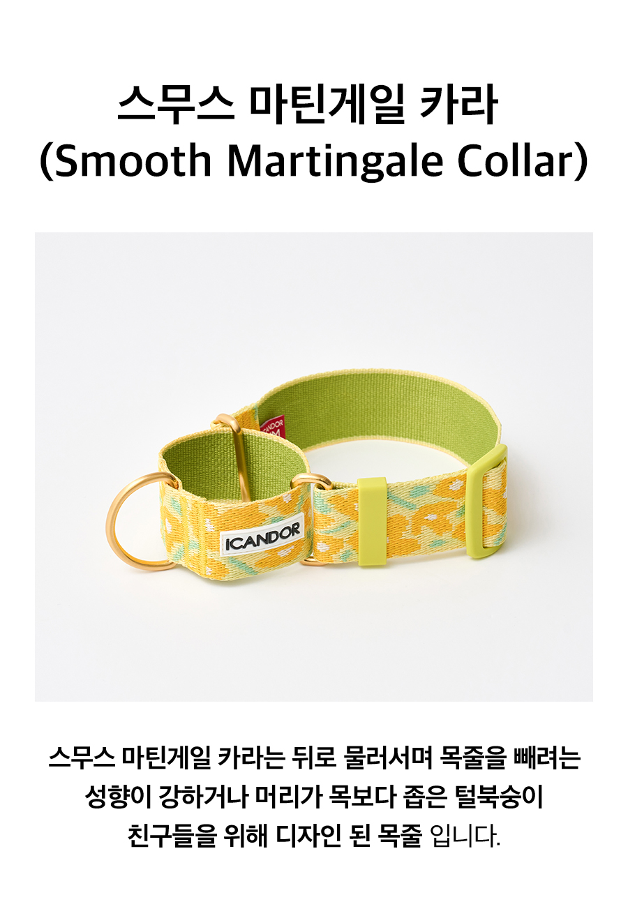 3_상세페이지_마틴게일-빅피쉬옐로우.jpg