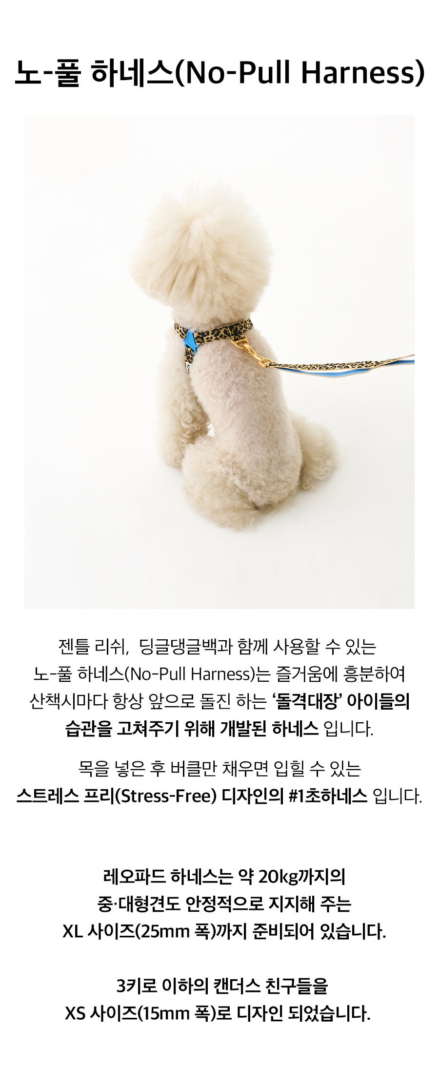 3_라인별_이미지_레오파드.jpg