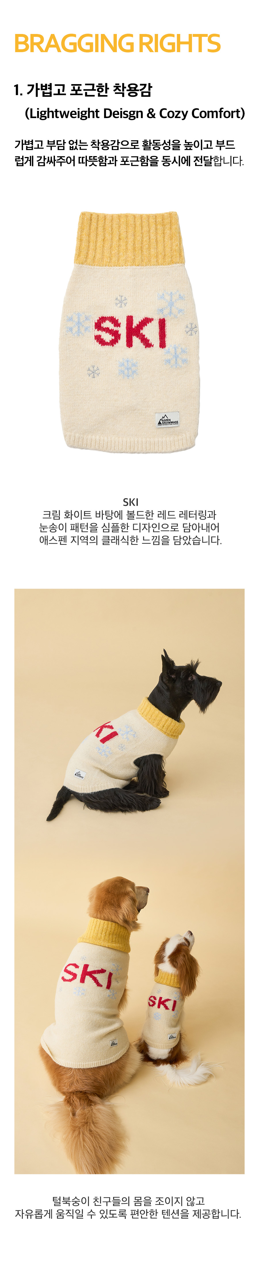 4_공통이미지_스키 2.jpg