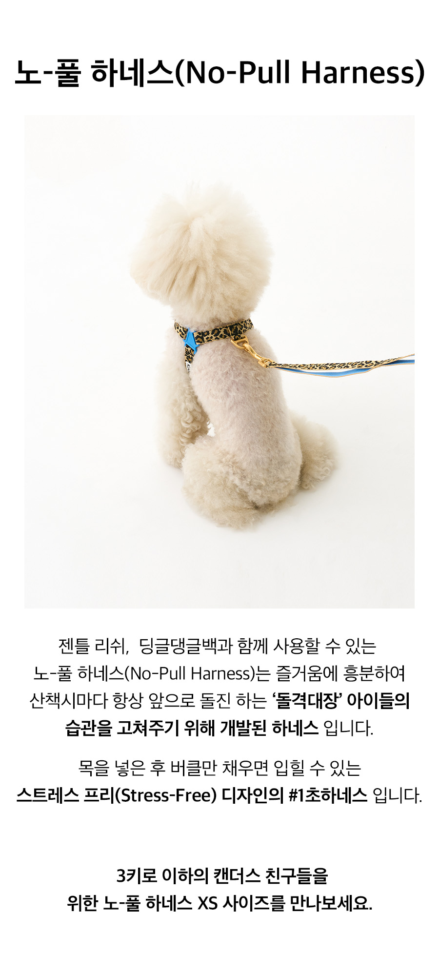 3_노풀하네스_레오파드.jpg