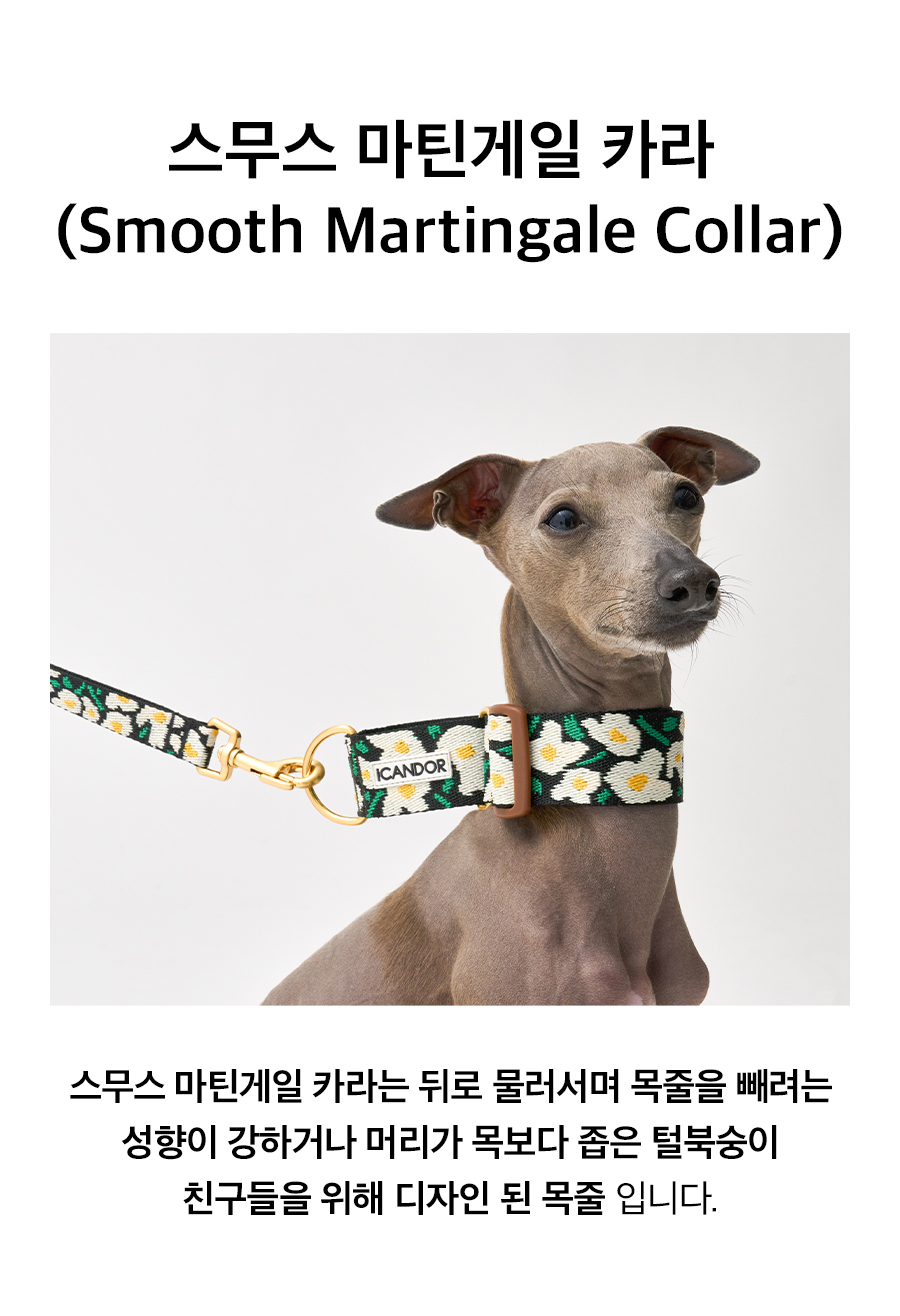 3_마틴게일_빅피쉬.jpg