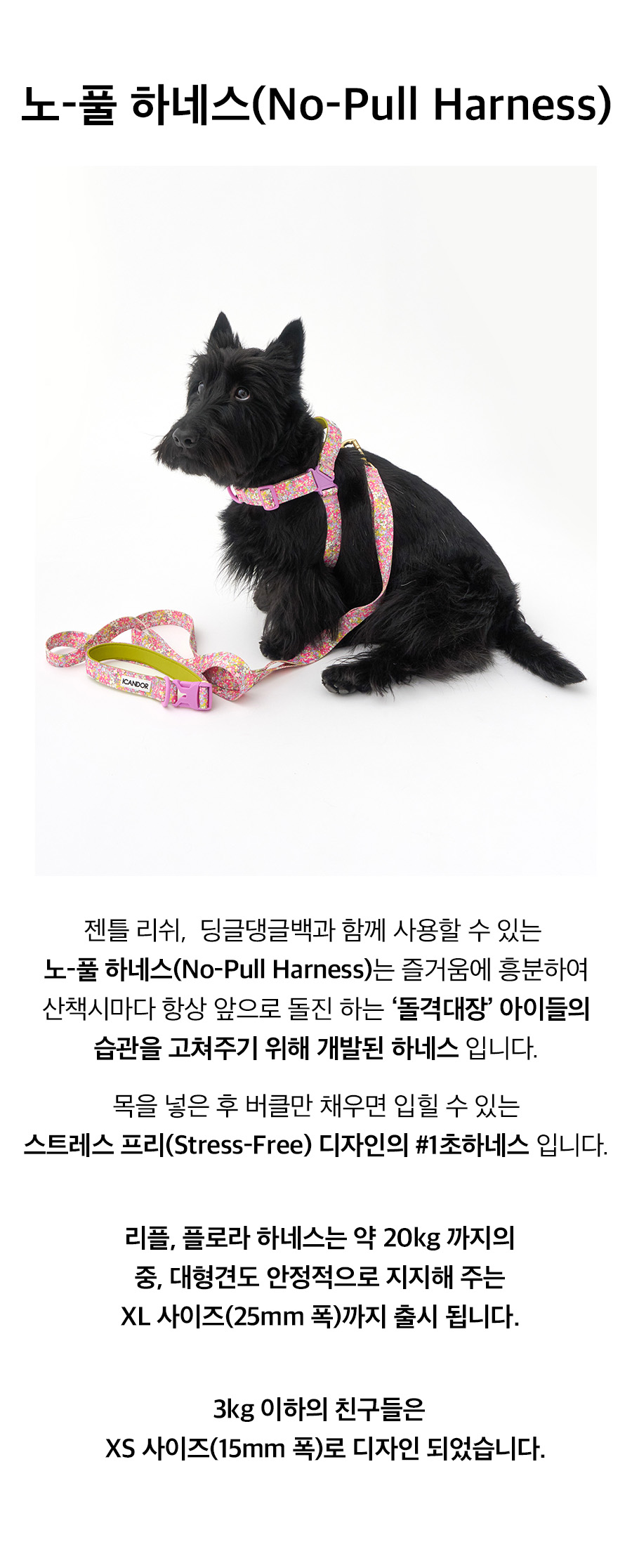 3_노풀하네스_ Flora.jpg