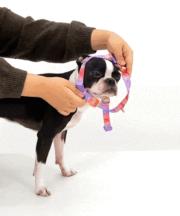 6_밀키웨이 착용방법(용량조절).gif