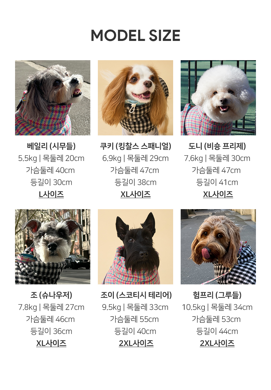 11_모델사이즈_25FW_써모체크.jpg