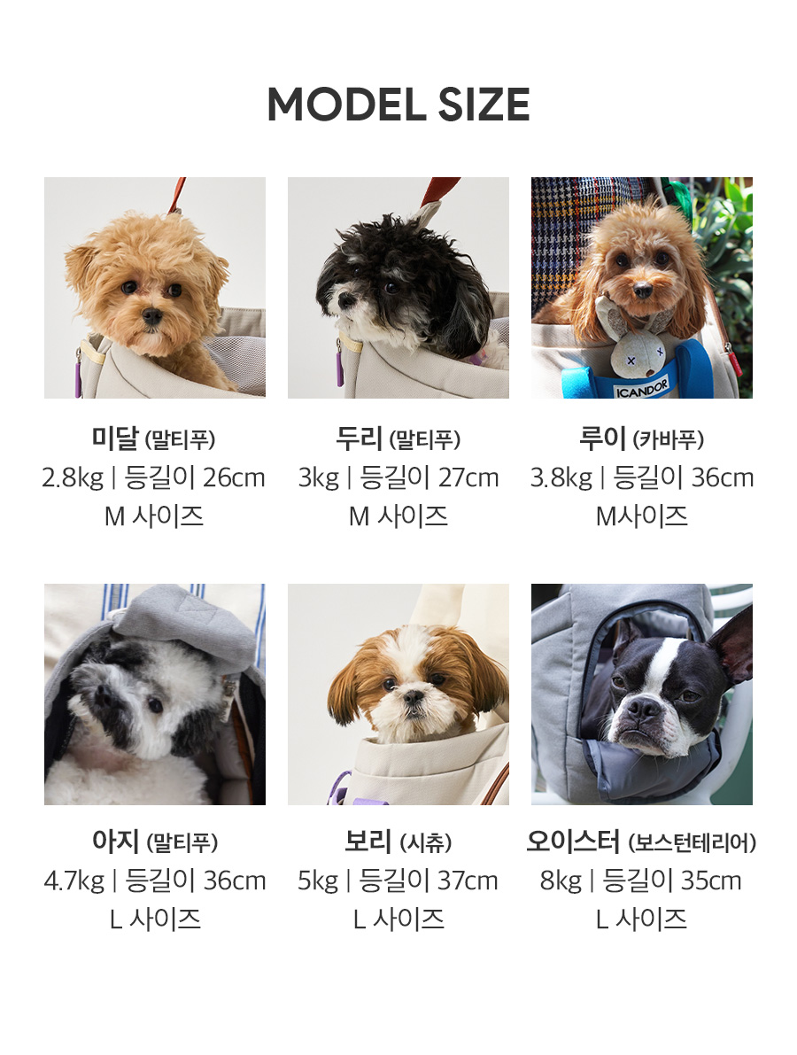 26_모델사이즈.jpg