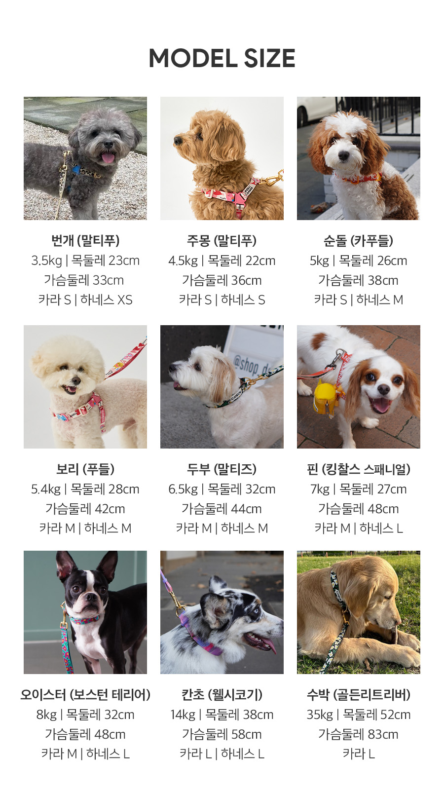49_모델사이즈.jpg