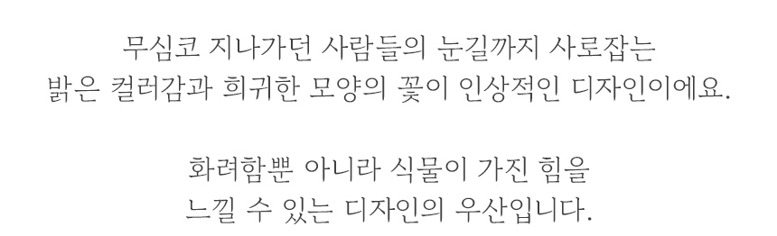 WPC우산_29.jpg