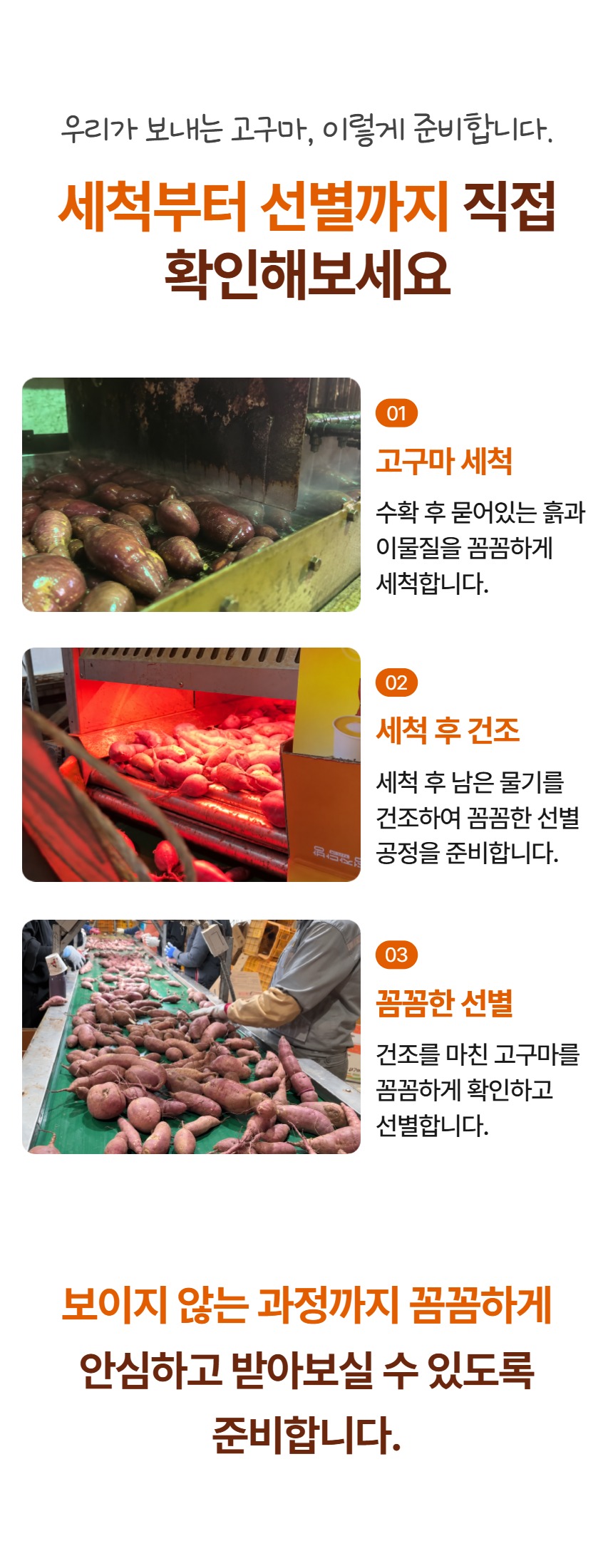 page_13.jpg