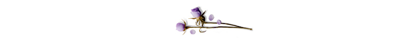 WPC우산_67.jpg