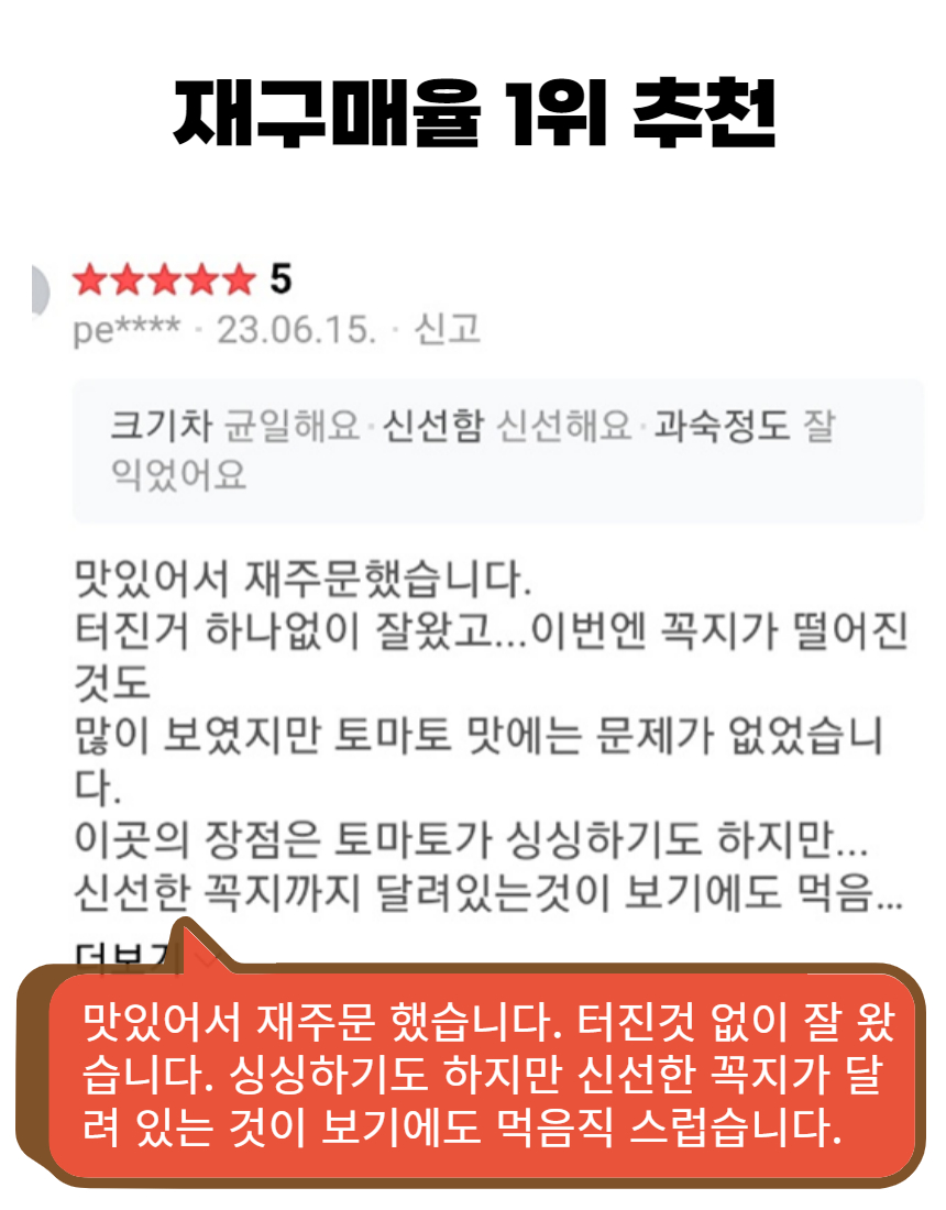 대추방울토마토_친환경_무농약 (5).jpg