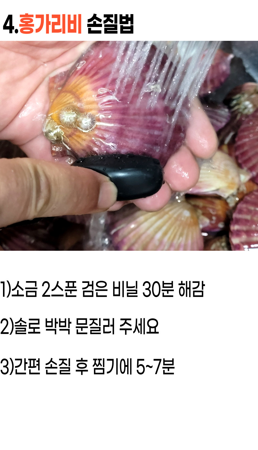 고성홍가리비 (11).jpg