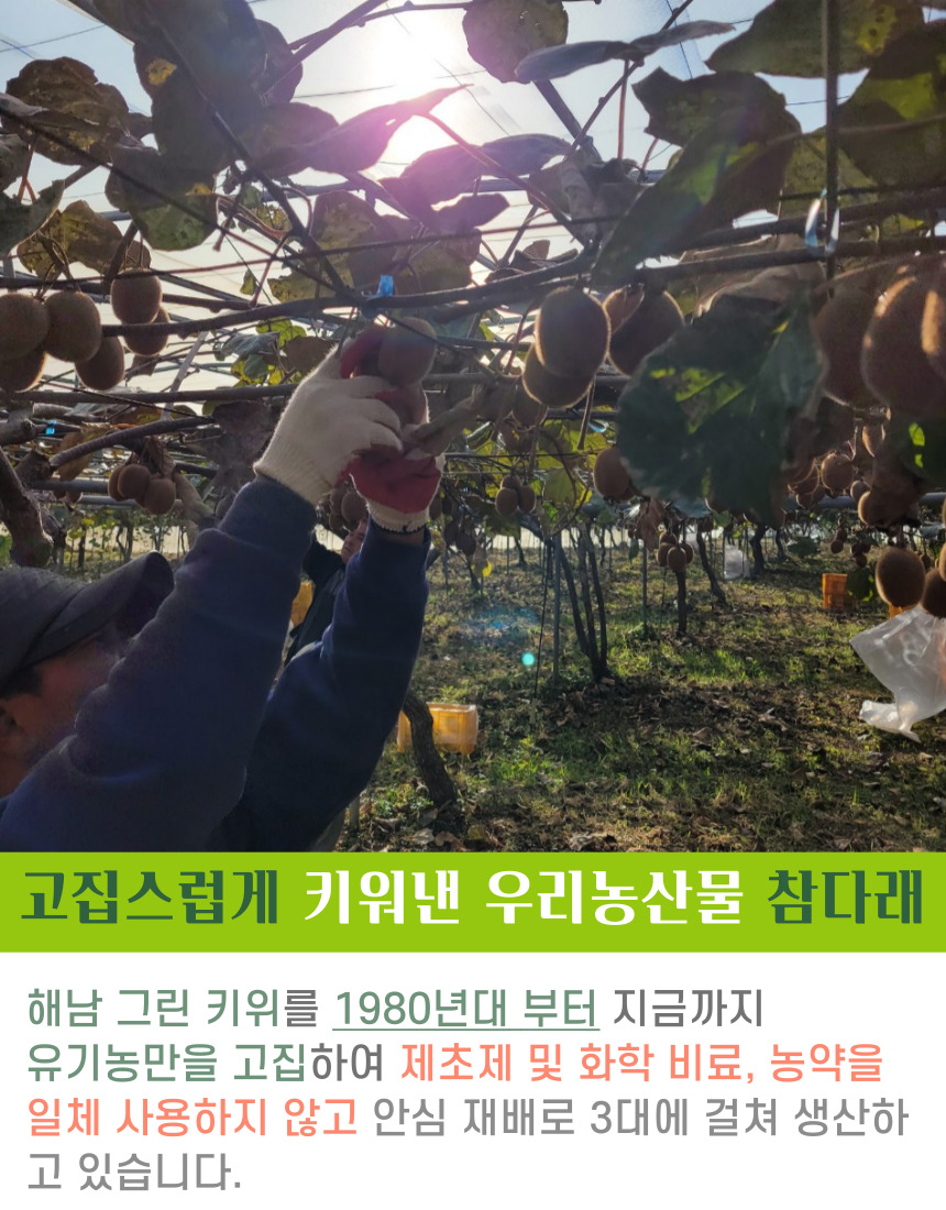001_국산_유기농키위 (5).jpg