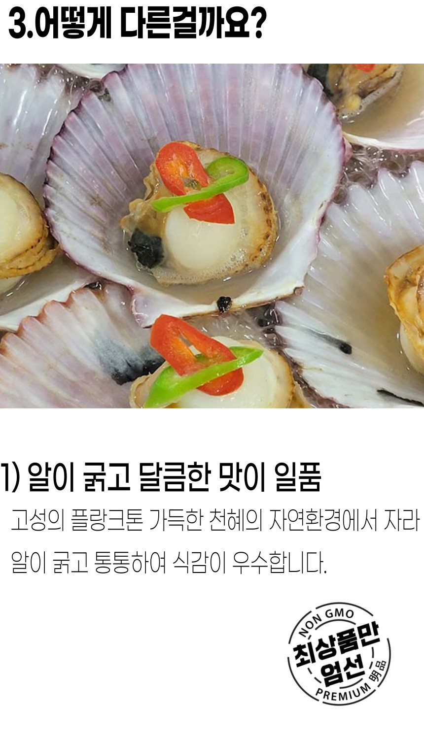 고성홍가리비 (8).jpg