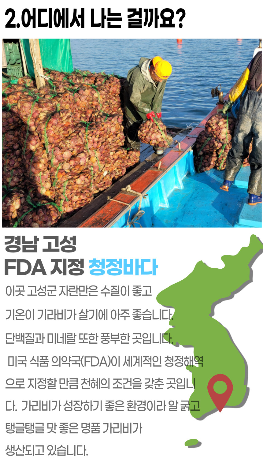 고성홍가리비 (5).jpg