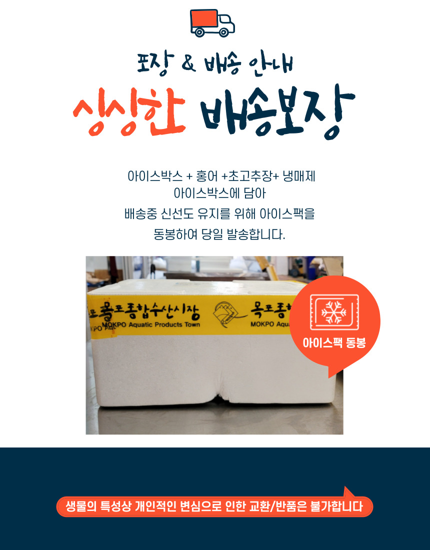 목포홍어 (15).jpg