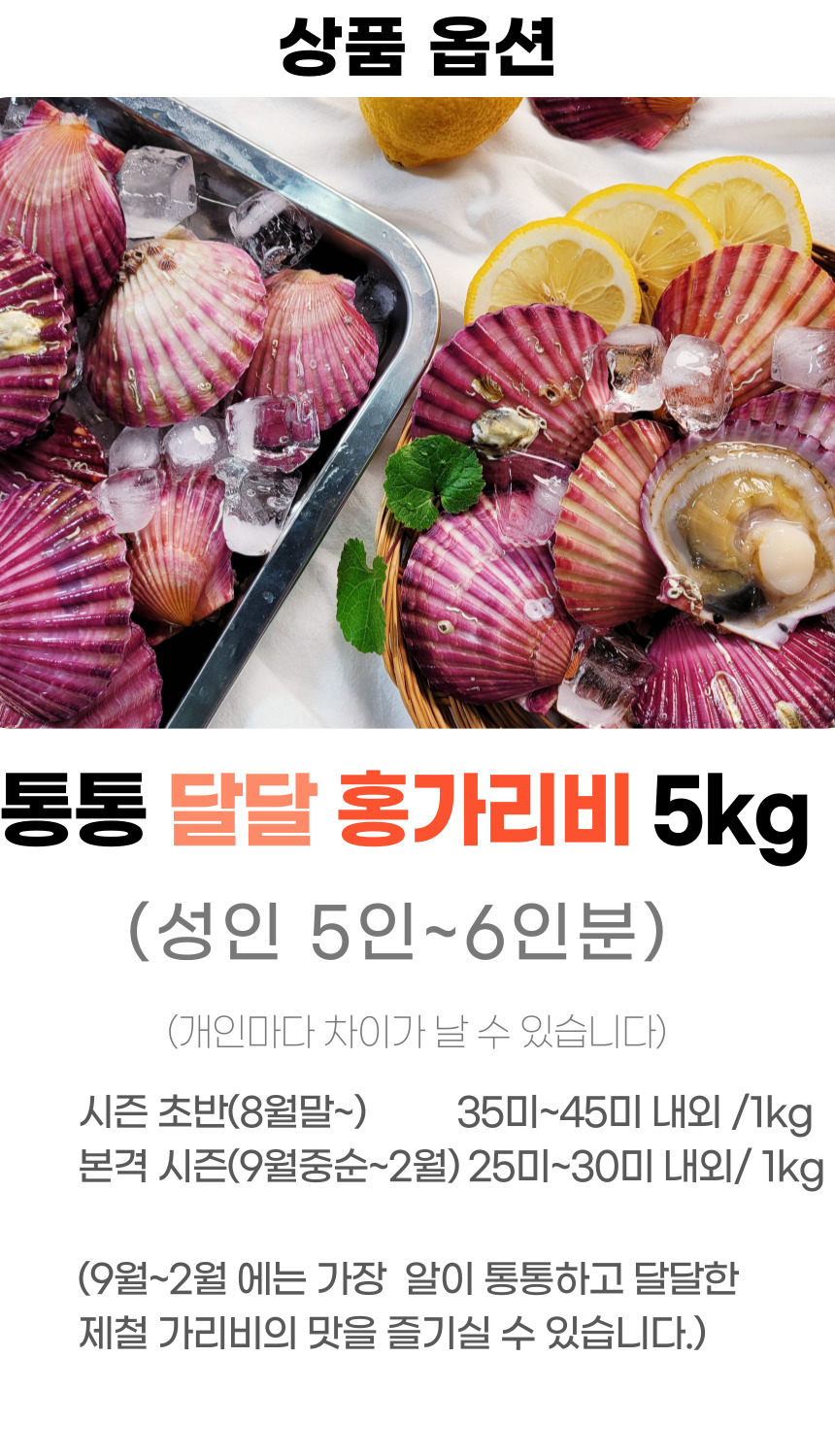고성홍가리비 (7).jpg