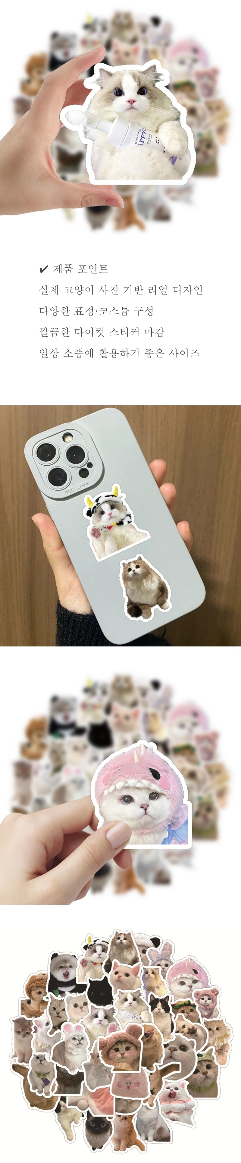 b.jpg