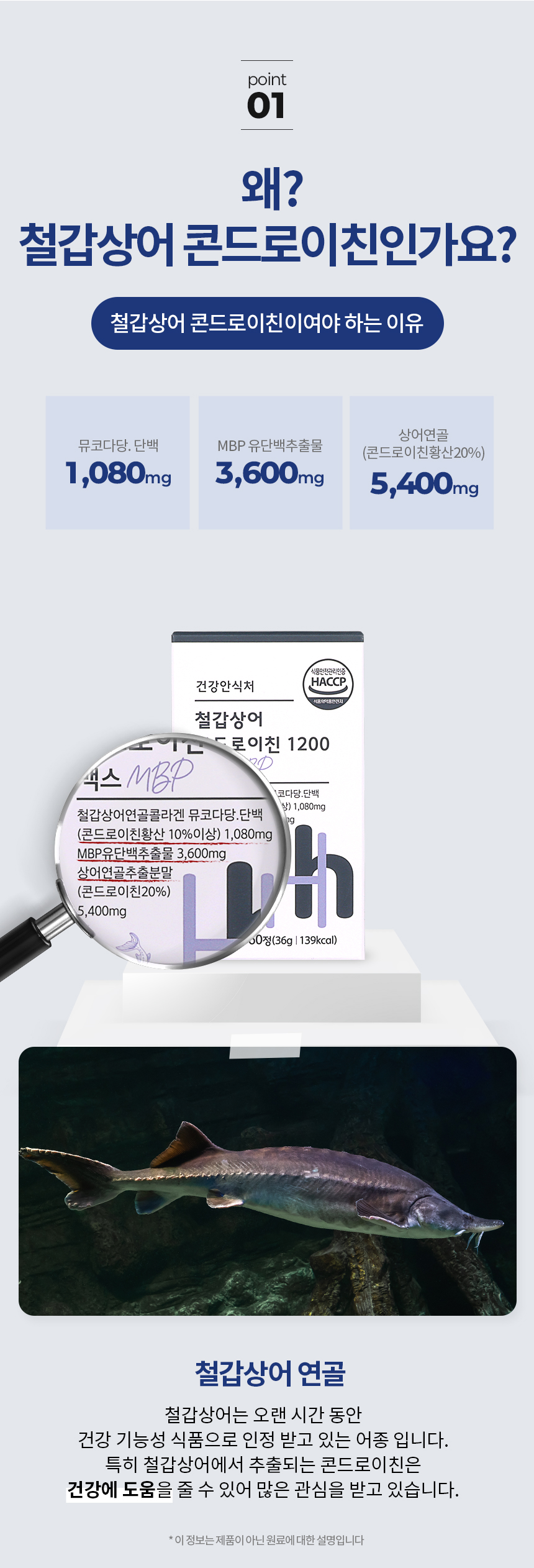 철갑상어-콘드로이친3_04.jpg