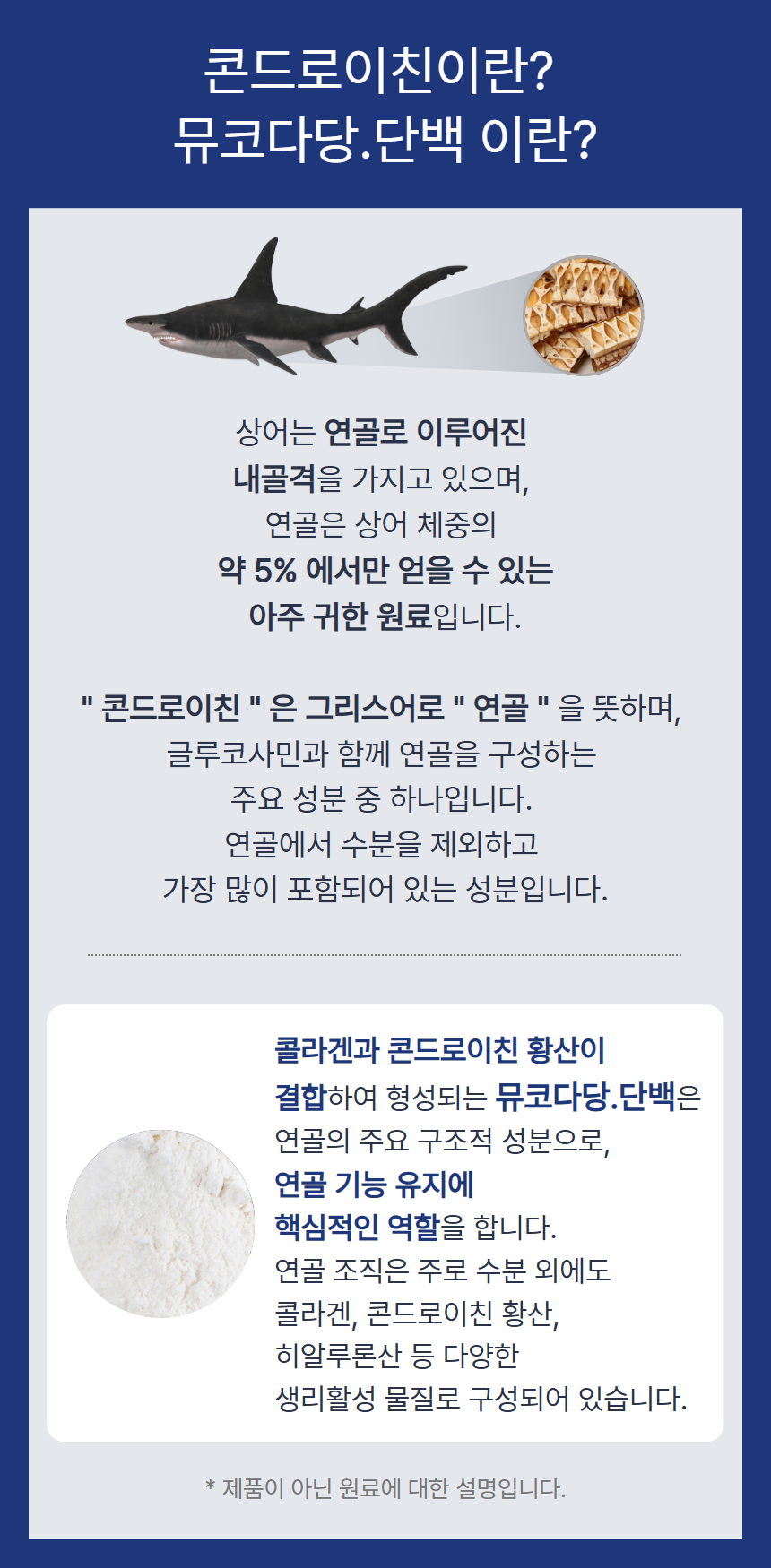 철갑상어 콘드로이친이란_.jpg