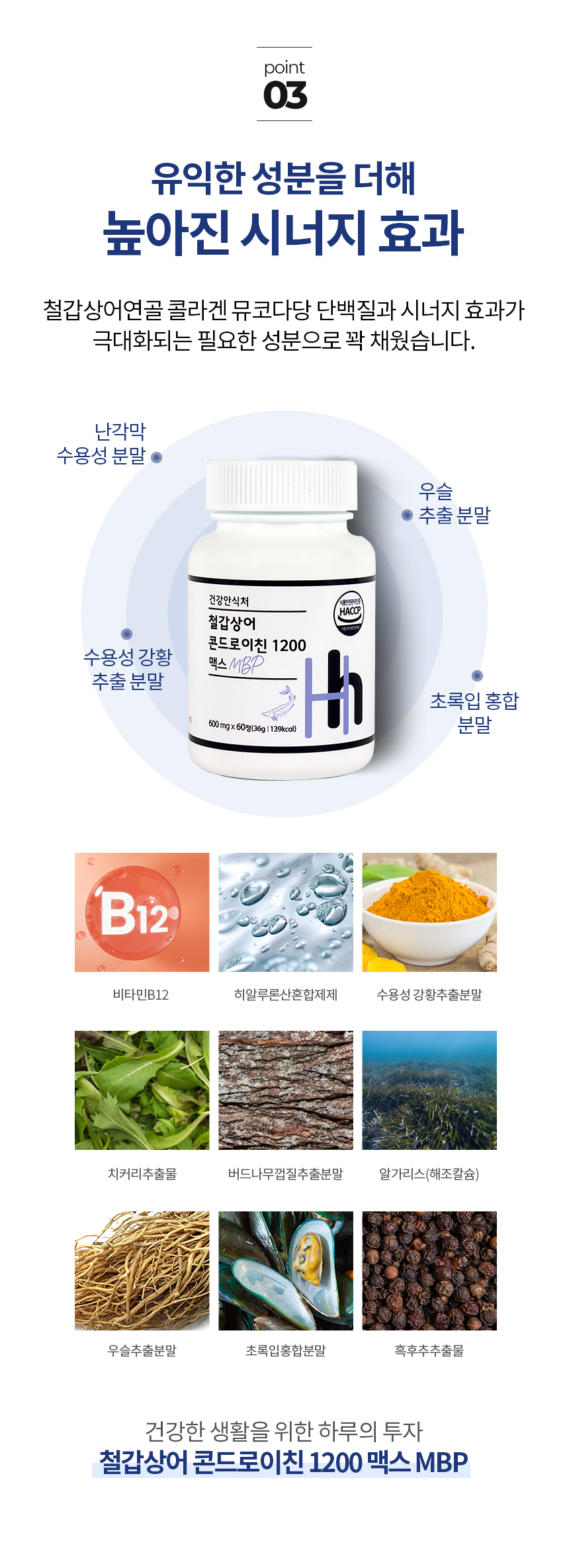 철갑상어-콘드로이친3_06.jpg