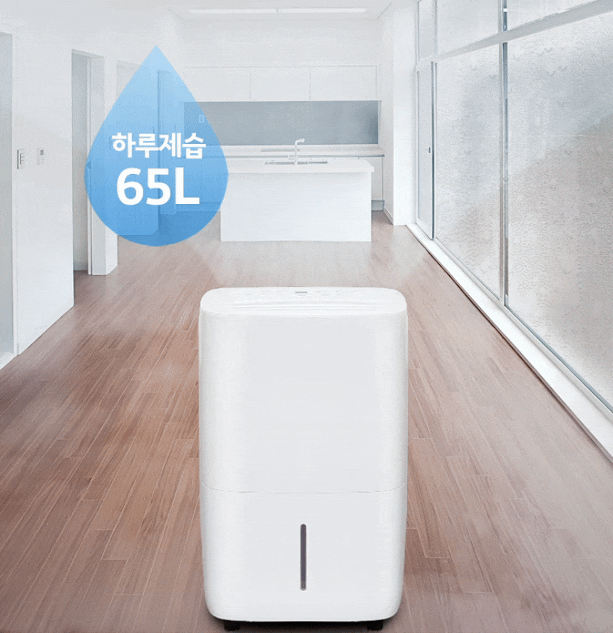 MI-S65L_09.gif