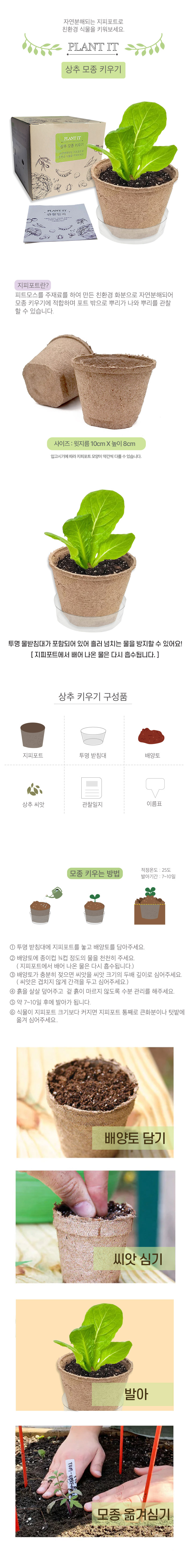 두두엠 상추 모종 키우기_상세.jpg