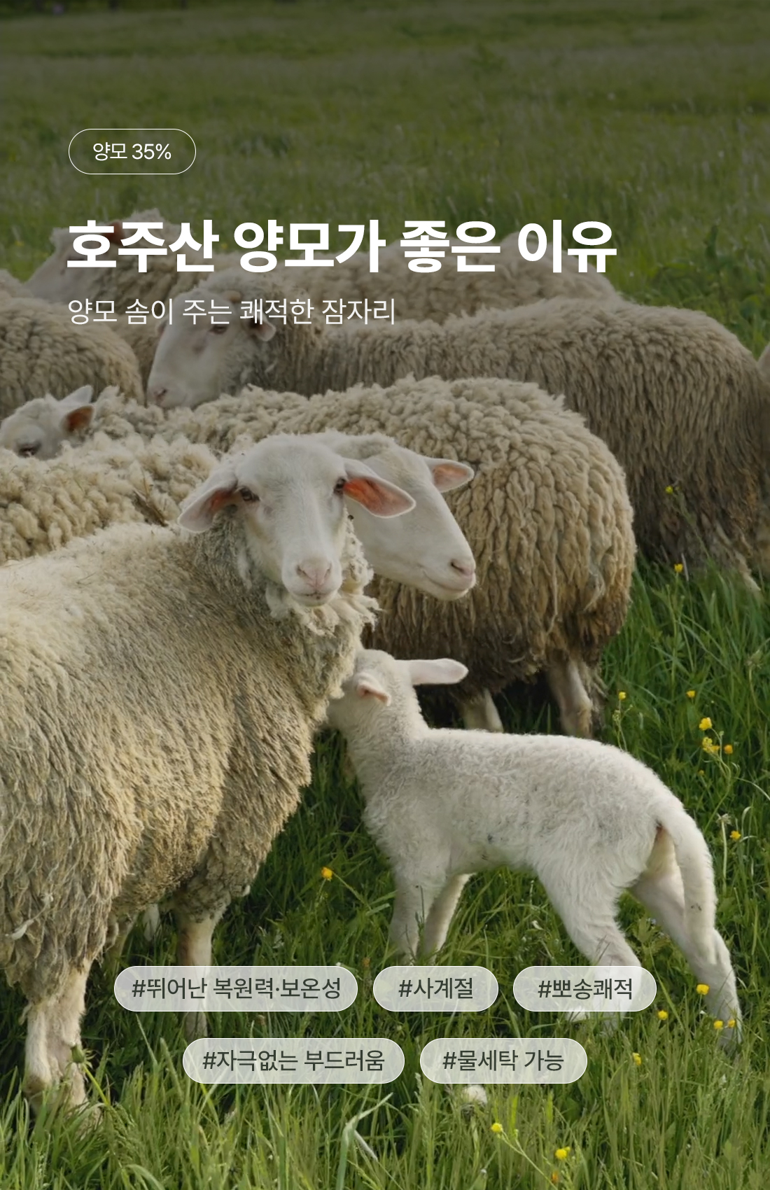 상세_10_3.jpg