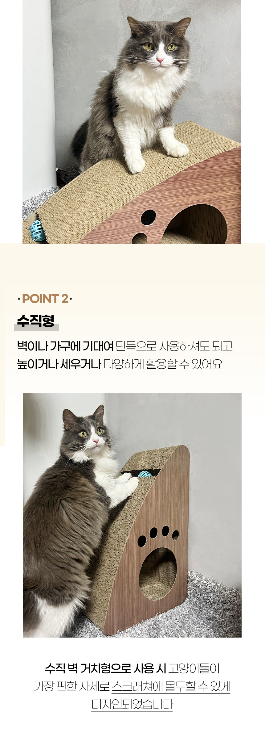 키츠스크래쳐_ (6).jpg