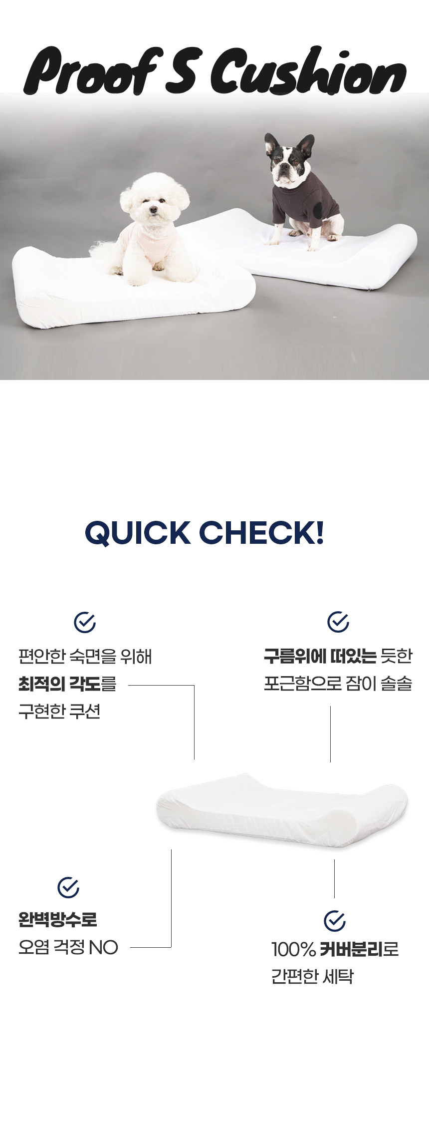 프루프에스쿠션_01.jpg