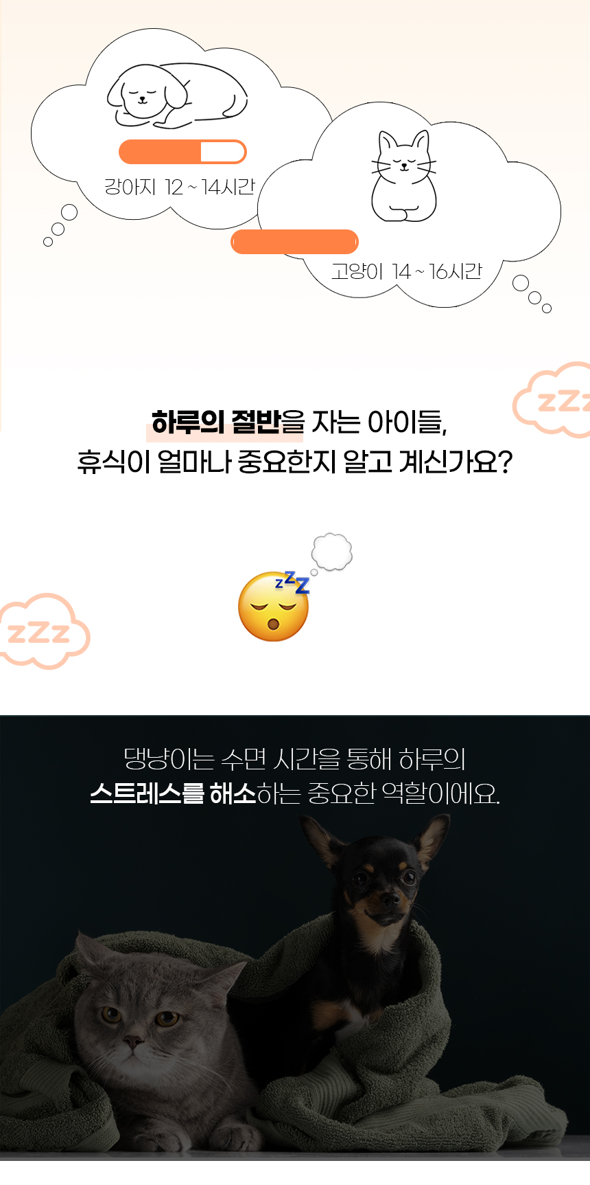 푸스방석_일반 (2).jpg