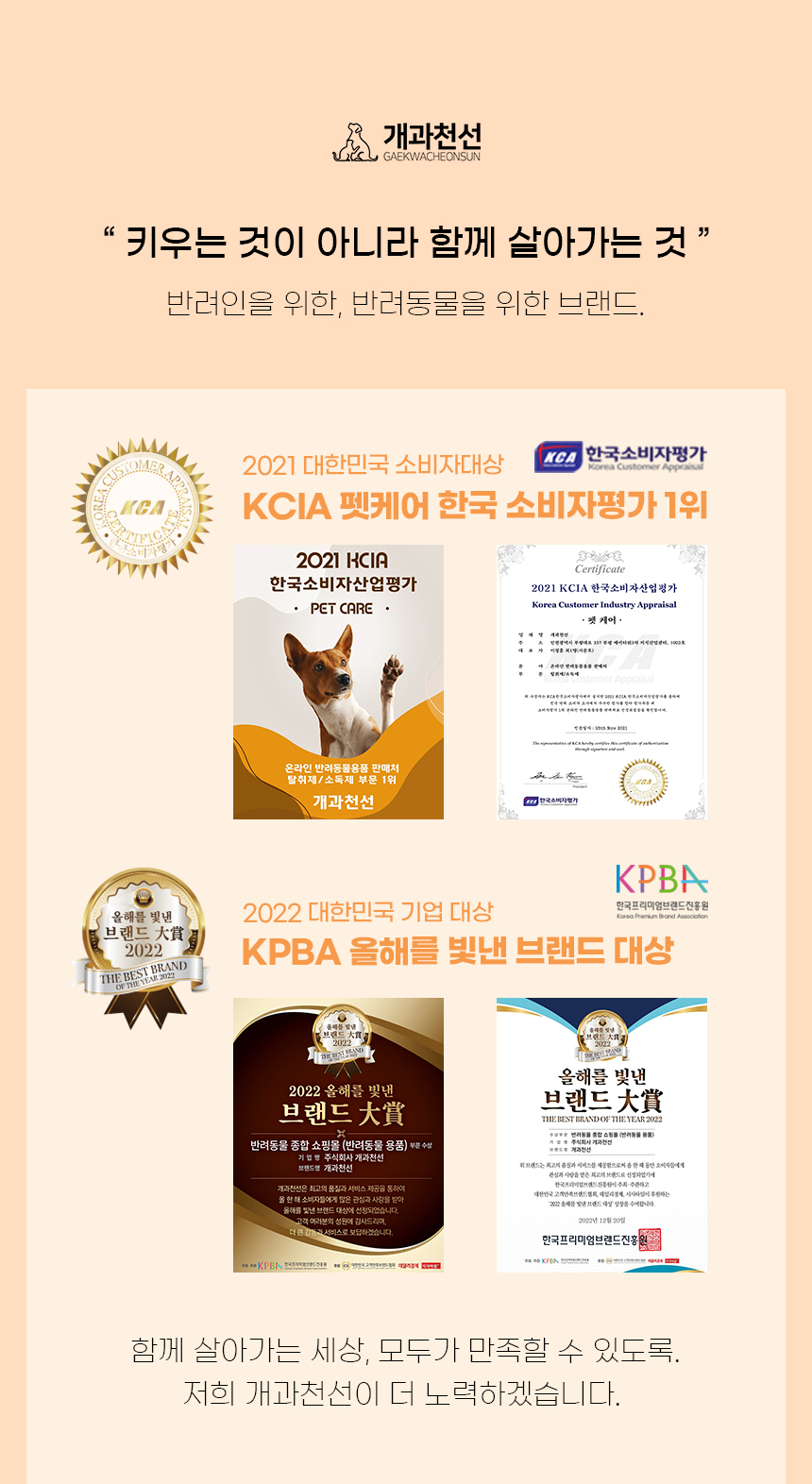 키츠스크래쳐_ (3).jpg