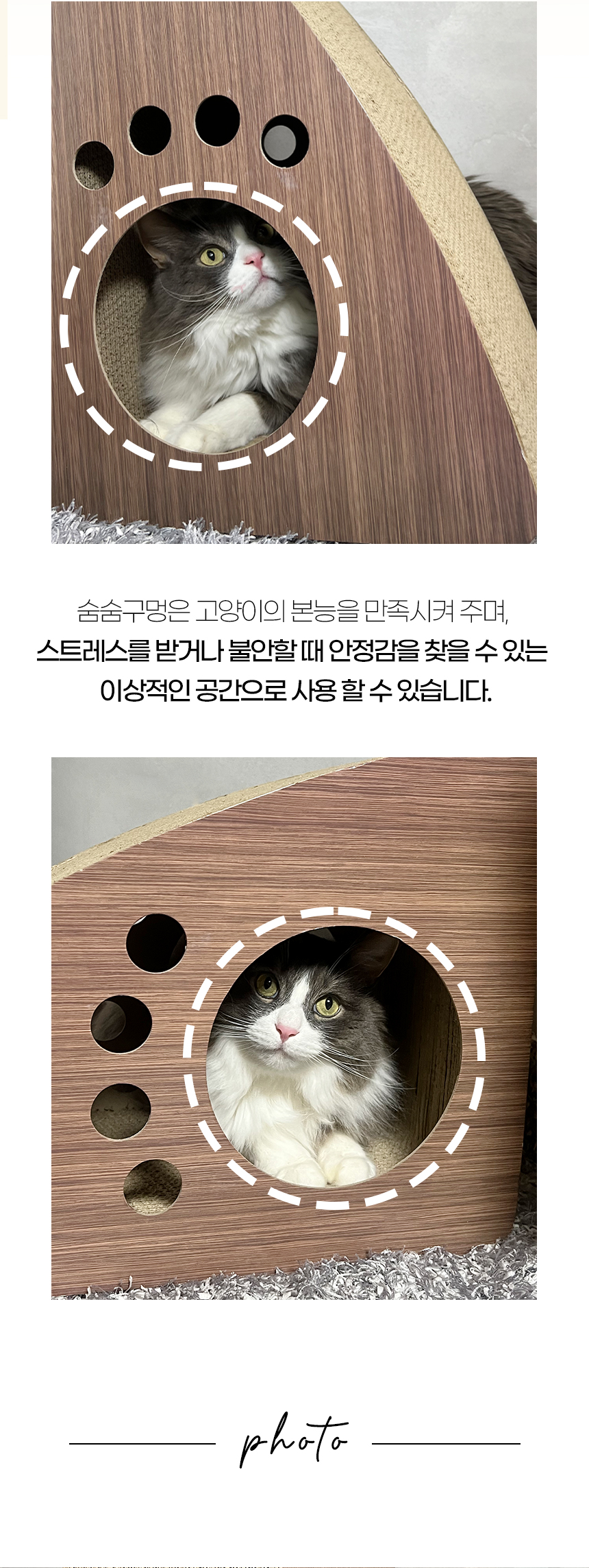 키츠스크래쳐_ (8).jpg