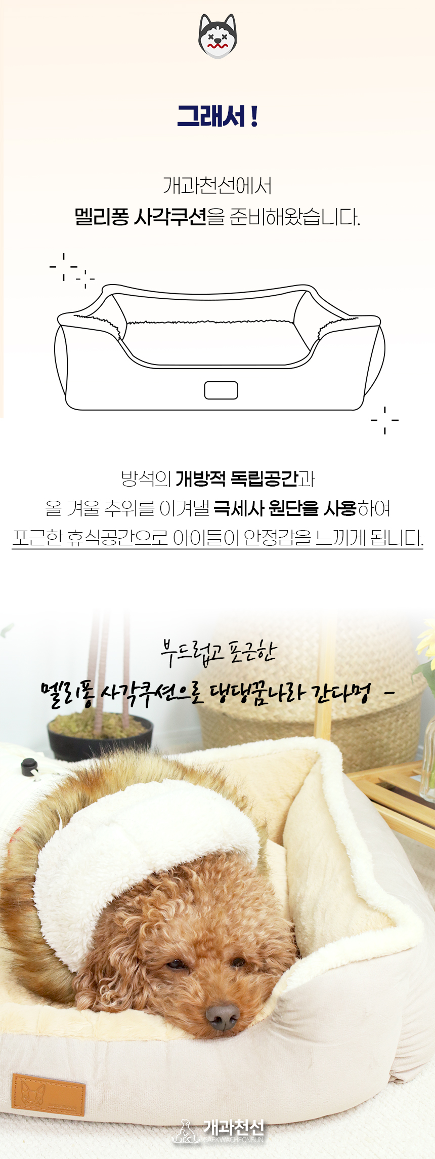 멜리퐁_일반 (2).jpg
