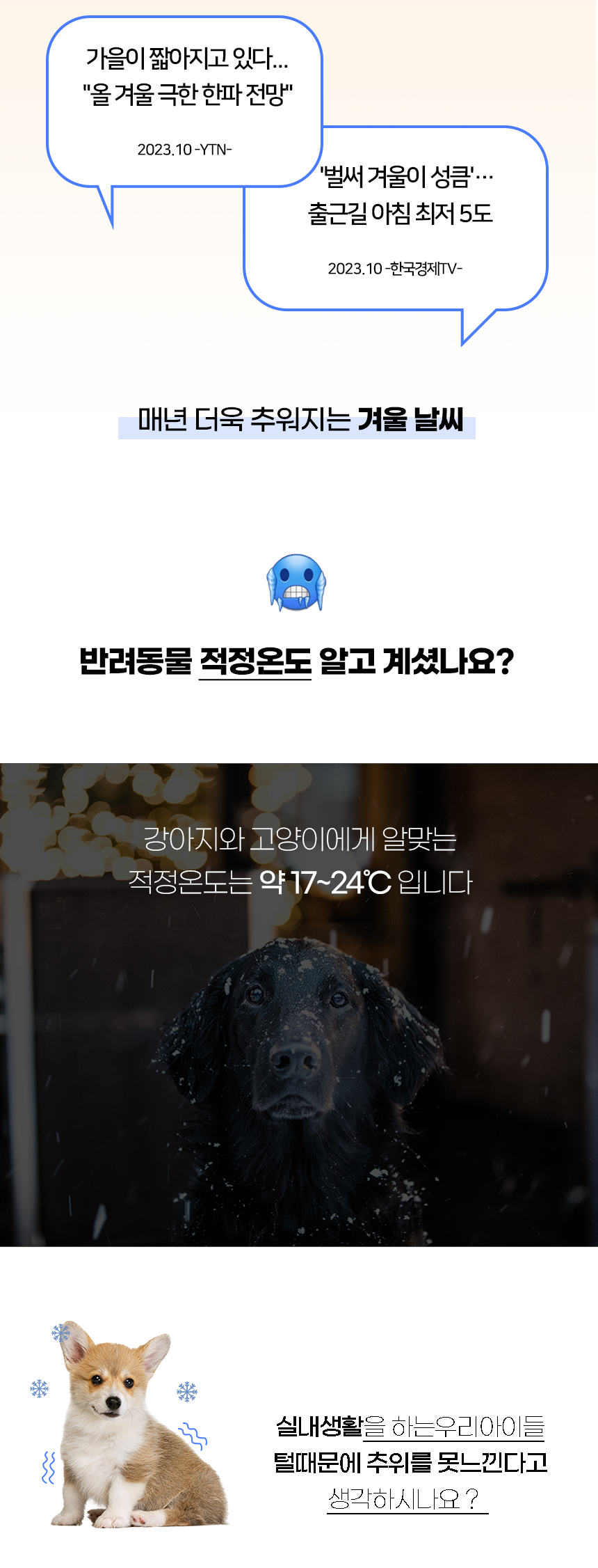 셀라웜_일반 (2).jpg
