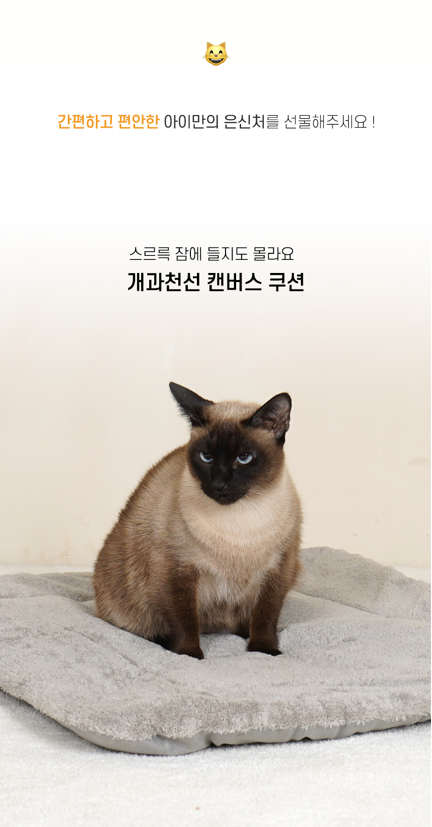 캔버스 쿠션 (2).jpg