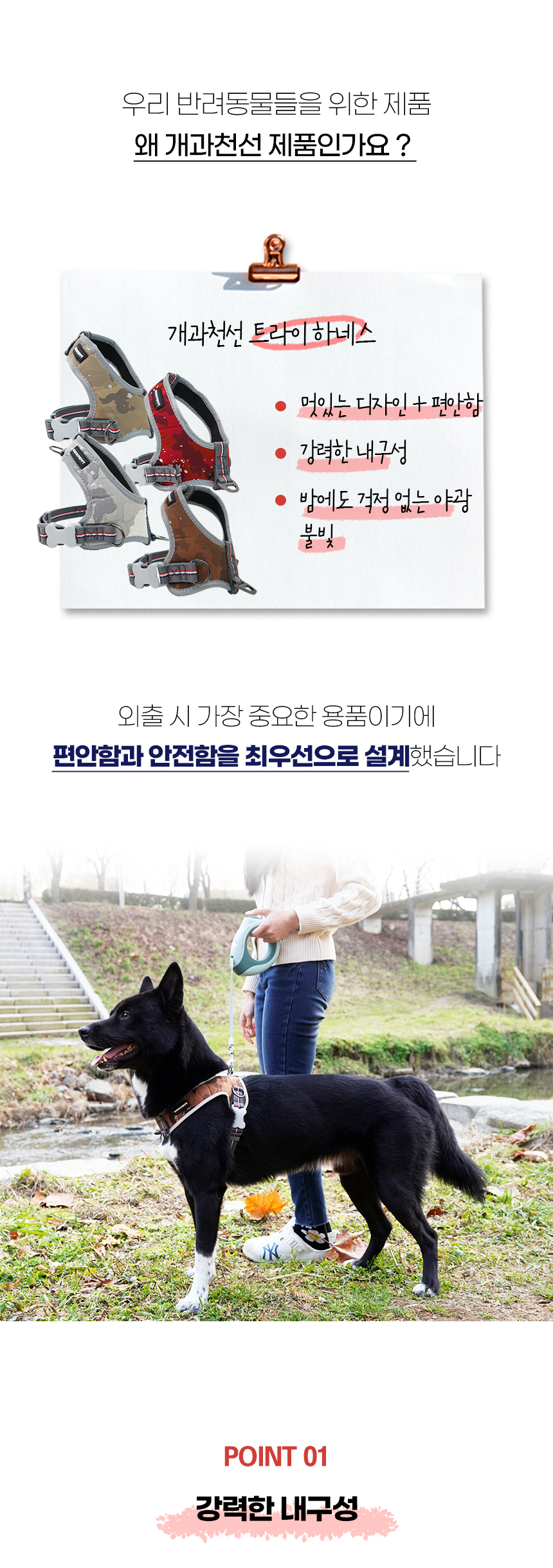 트라이_일반 (7).jpg