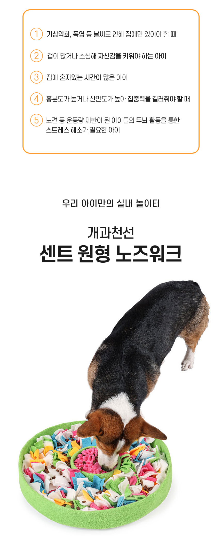센트원형노즈워크_02.jpg