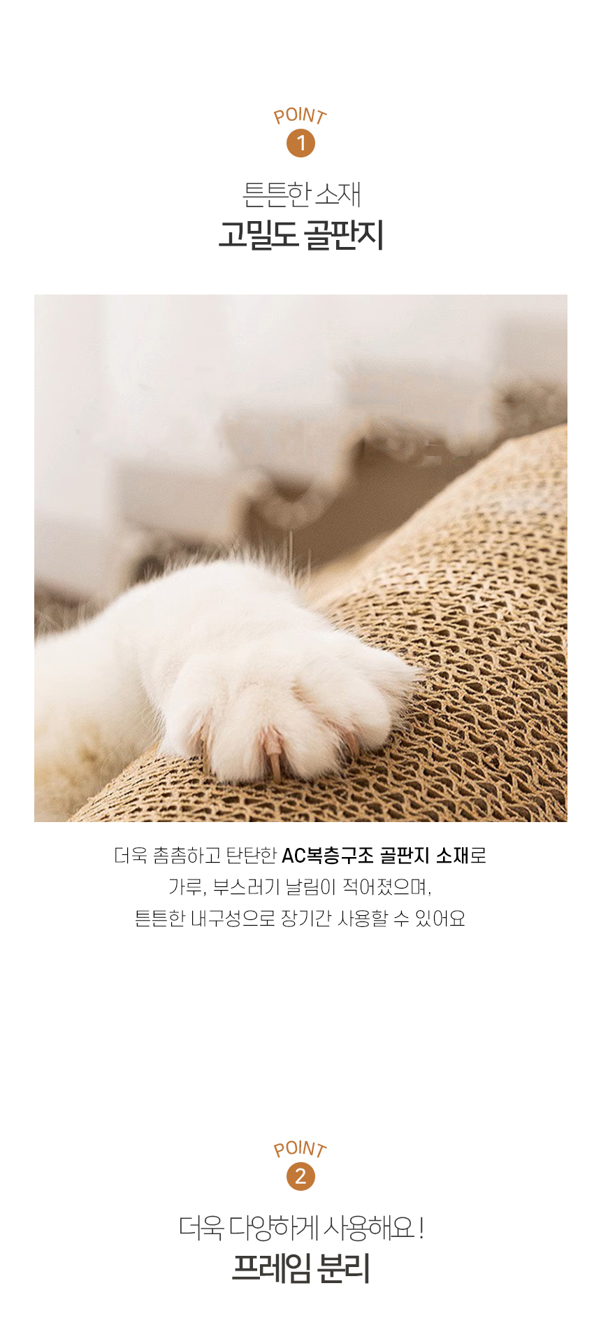 어몽드 스케이 스크래쳐 하우스 (4).jpg