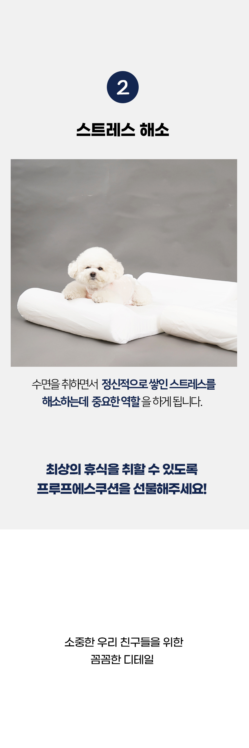 프루프에스쿠션_03.jpg