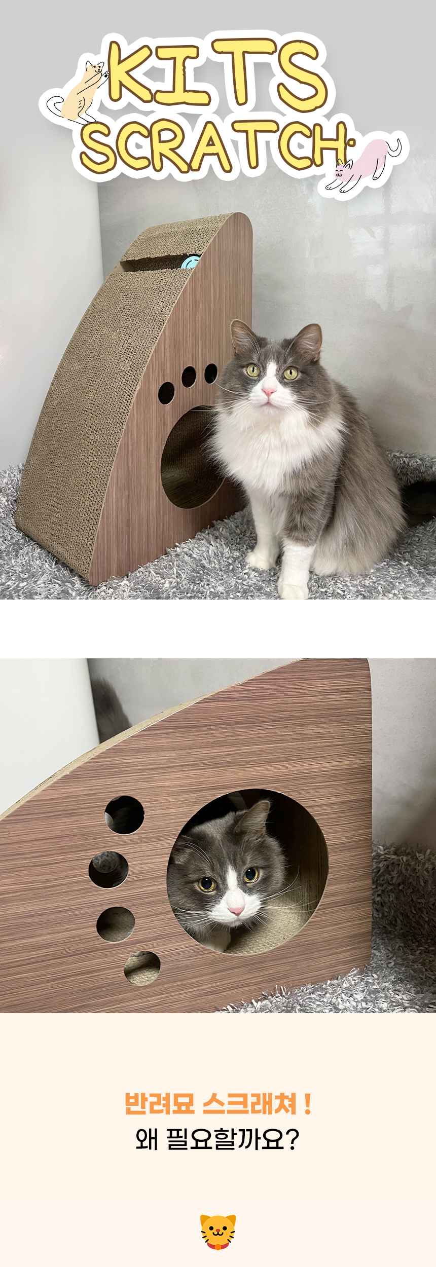 키츠스크래쳐_ (1).jpg