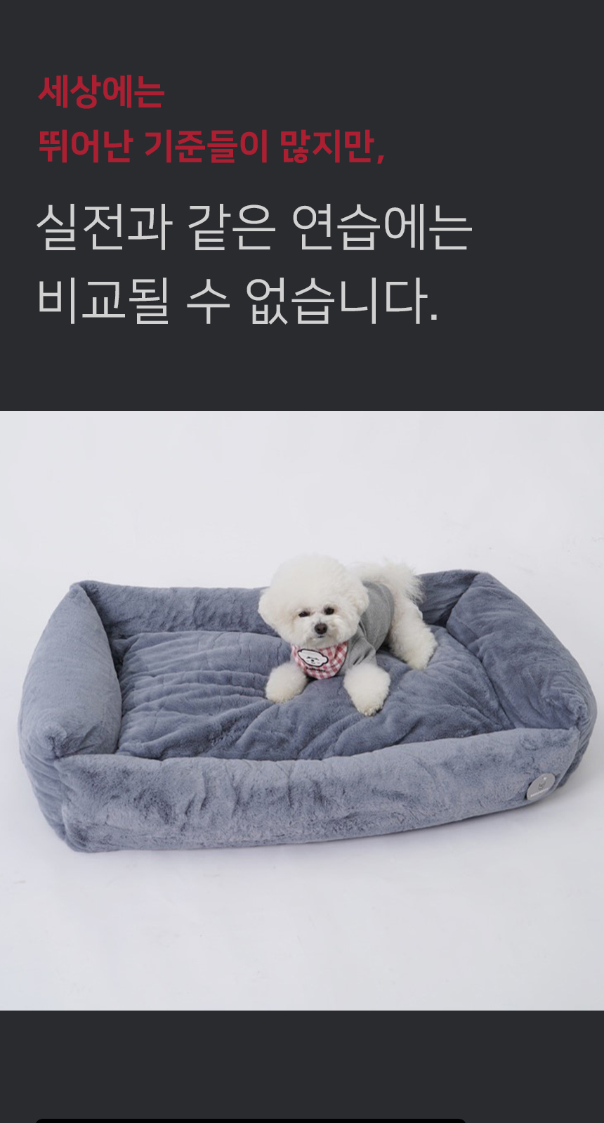 윌라사각쿠션위_08.jpg