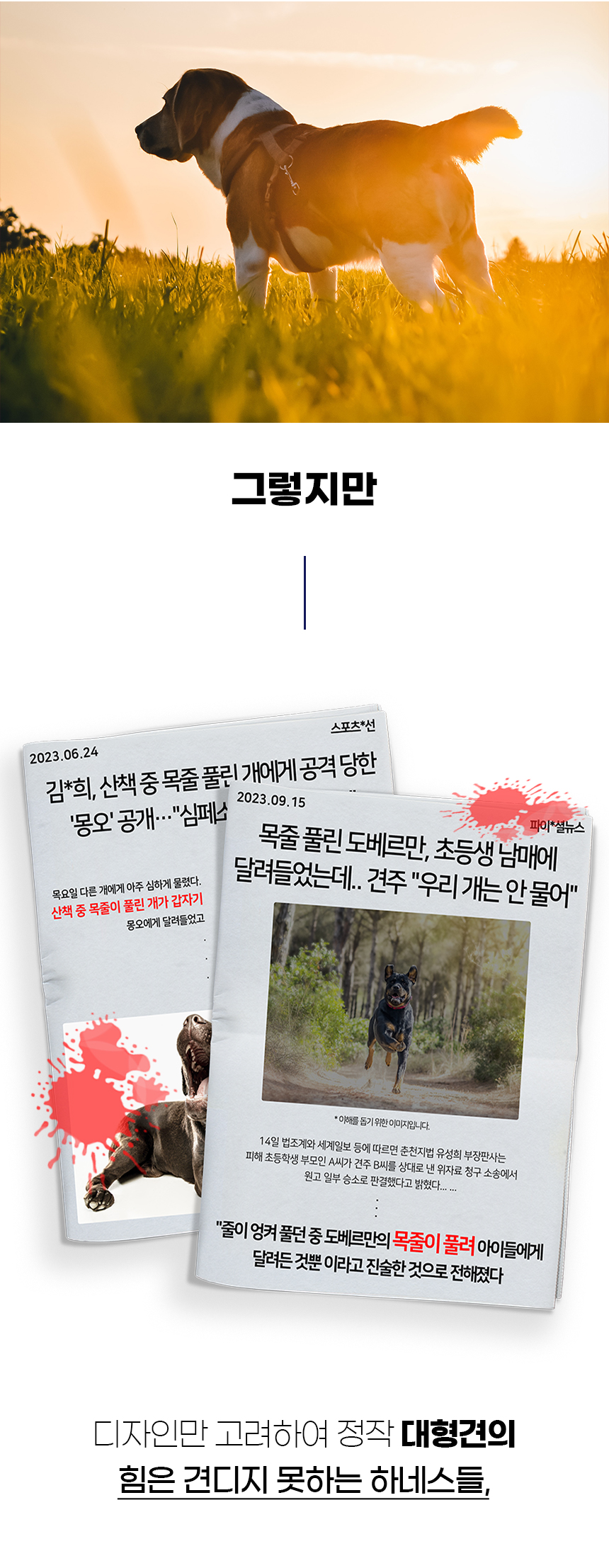 트라이_일반 (2).jpg