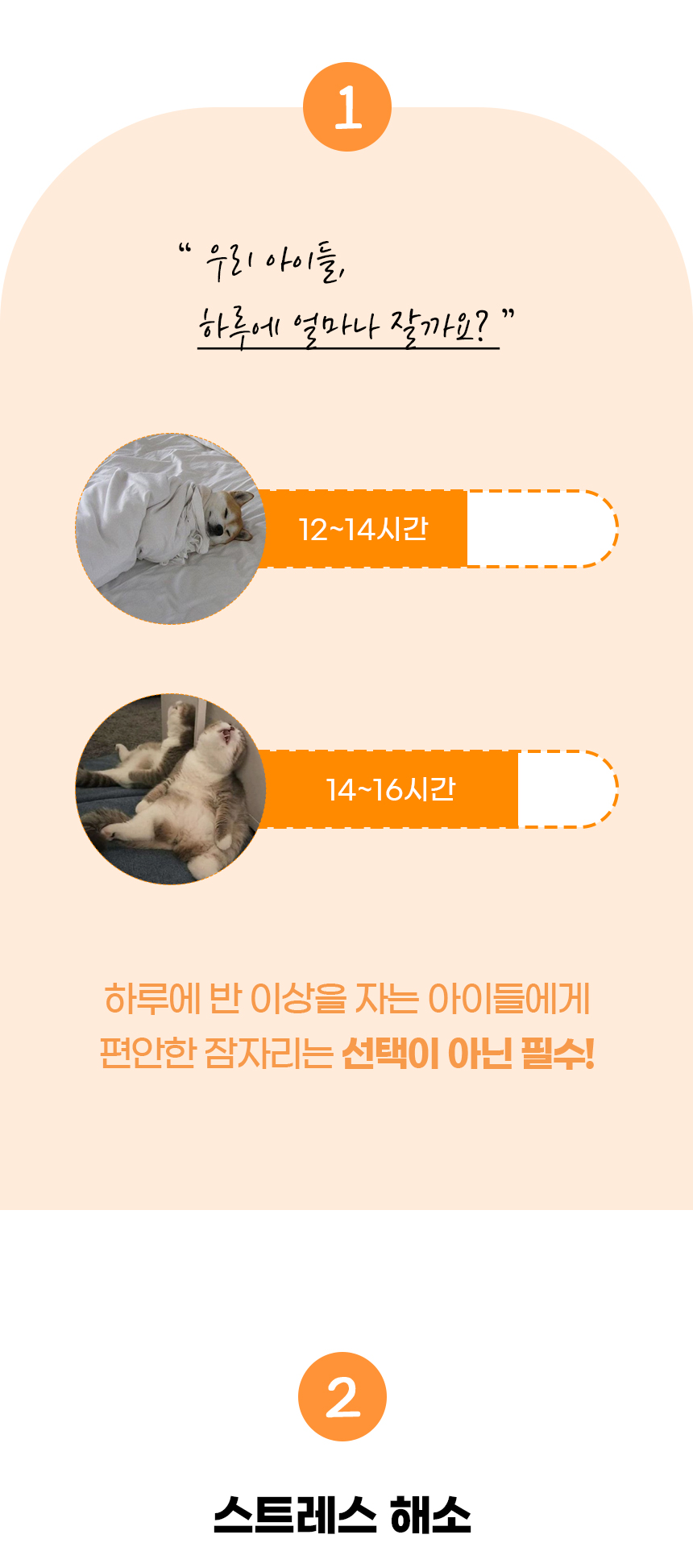 일반_05.jpg