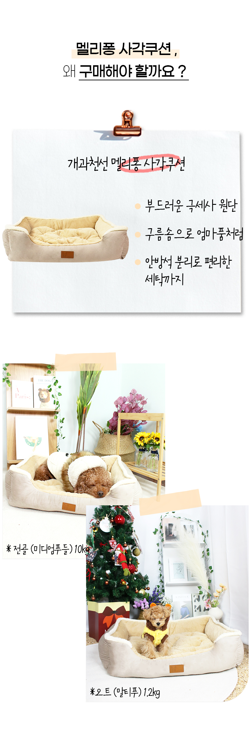 멜리퐁_일반 (6).jpg
