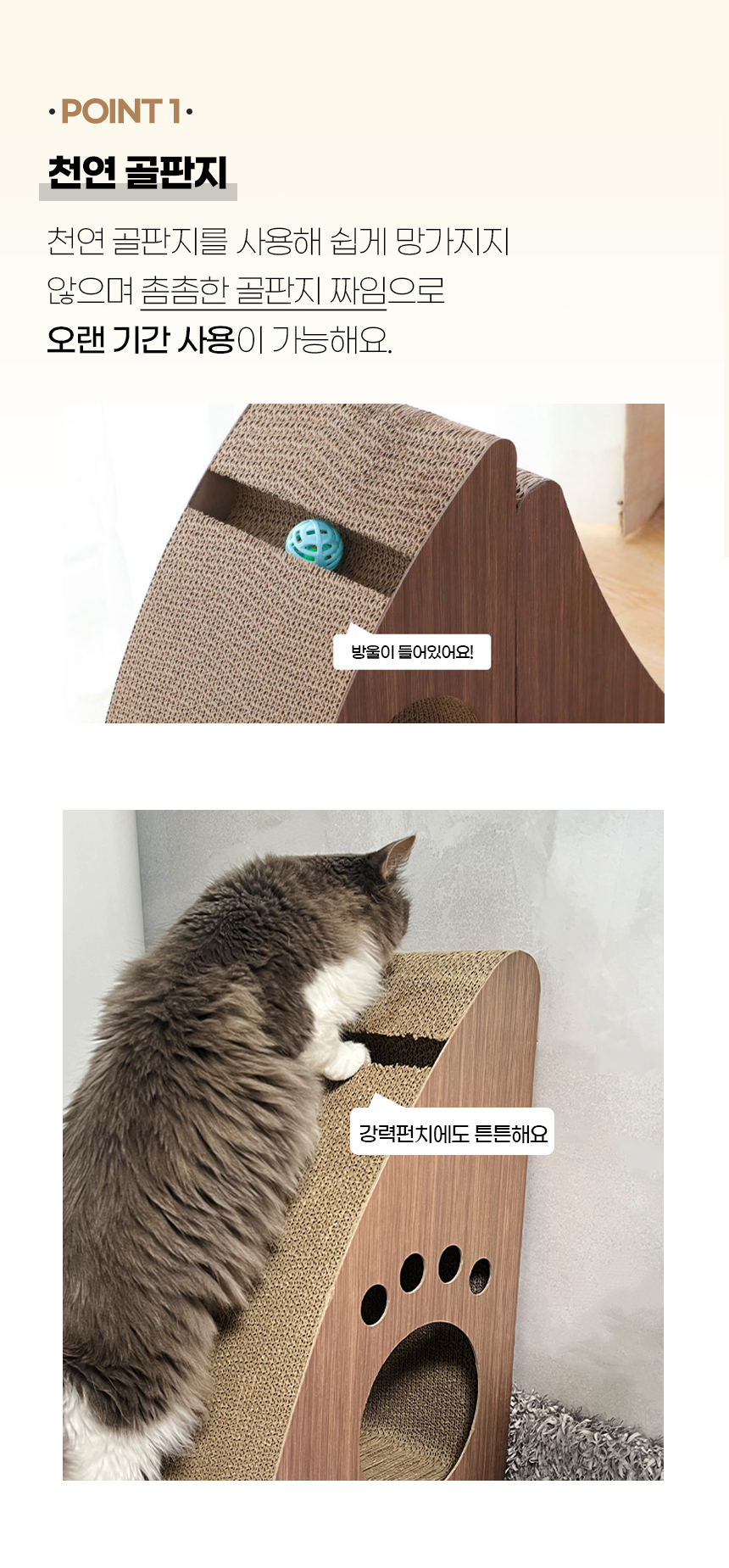 키츠스크래쳐_ (5).jpg