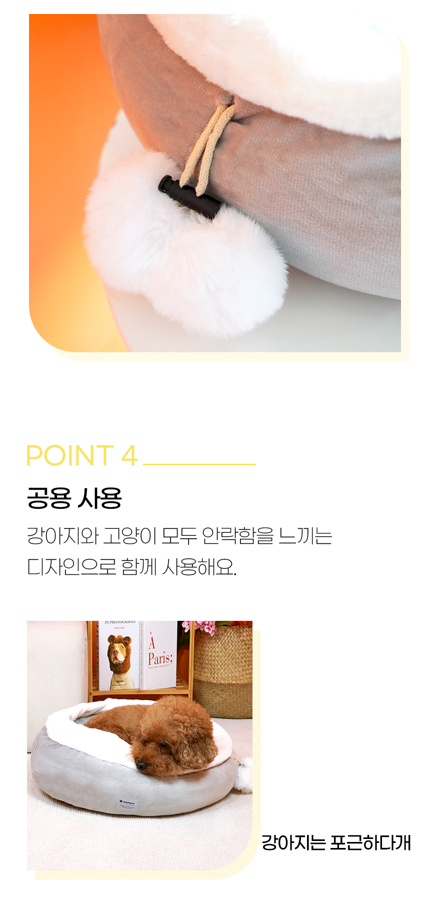디모로_일반 (10).jpg