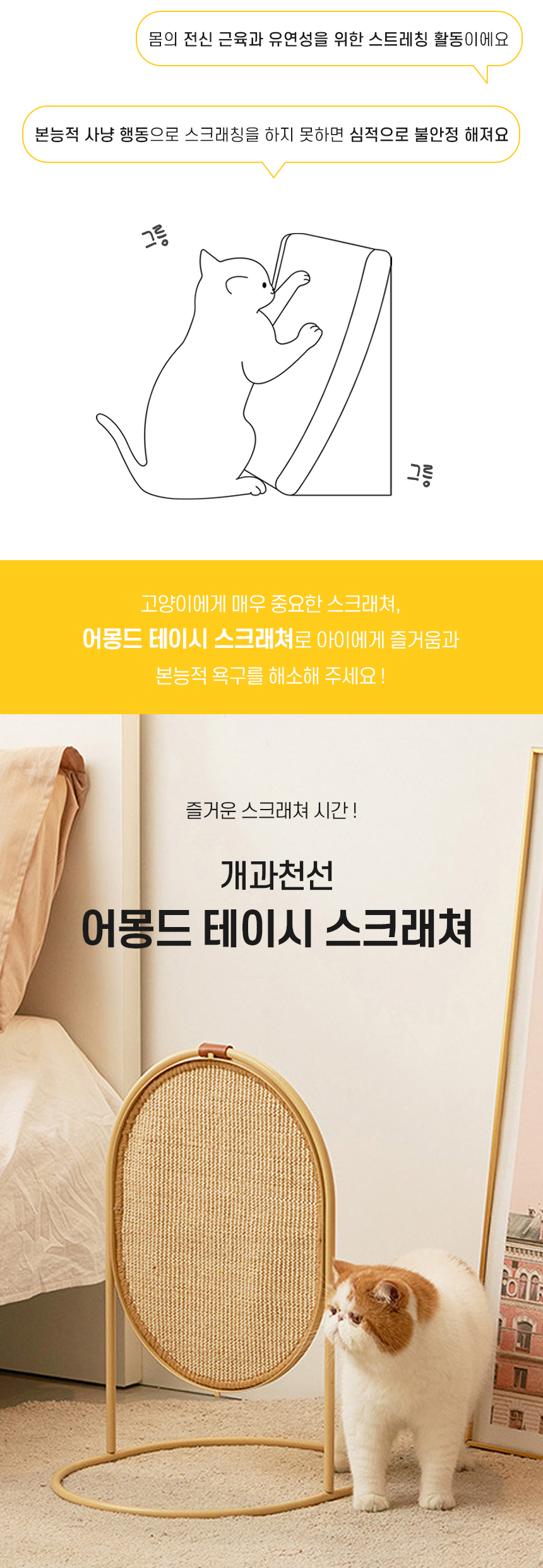 테이시스크래쳐_02.jpg