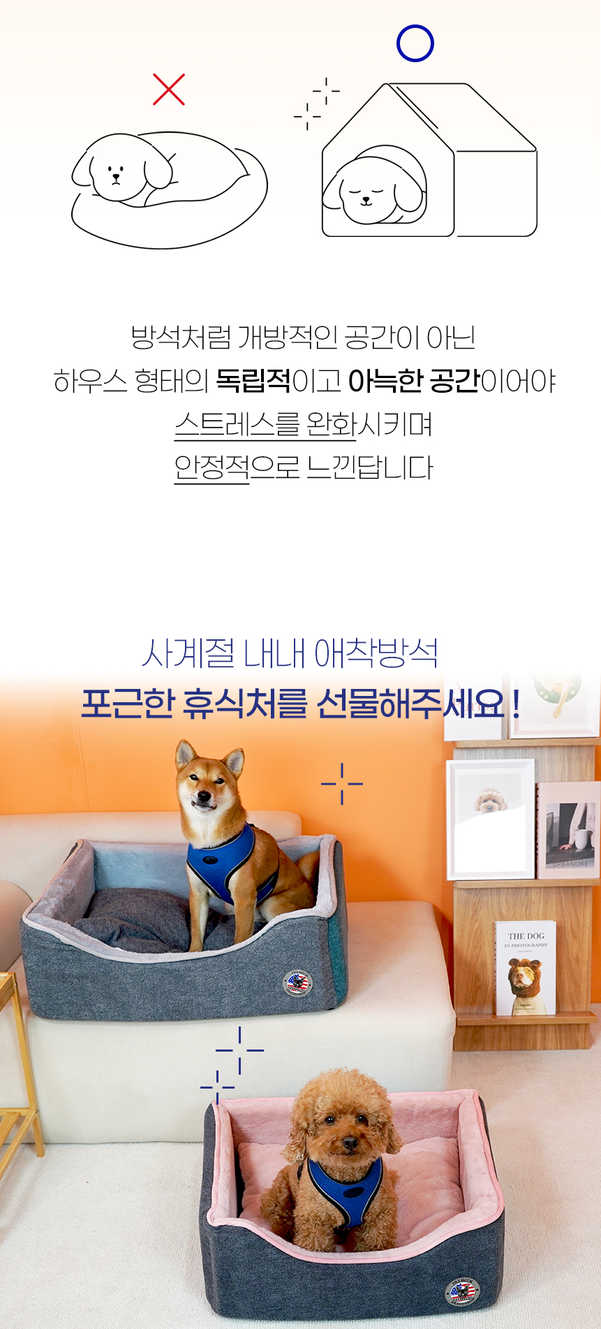 로티하우스_트렁크빈원하우스_02.jpg