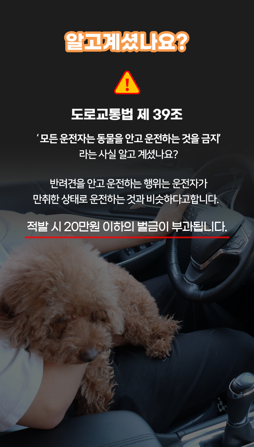 1_03.jpg