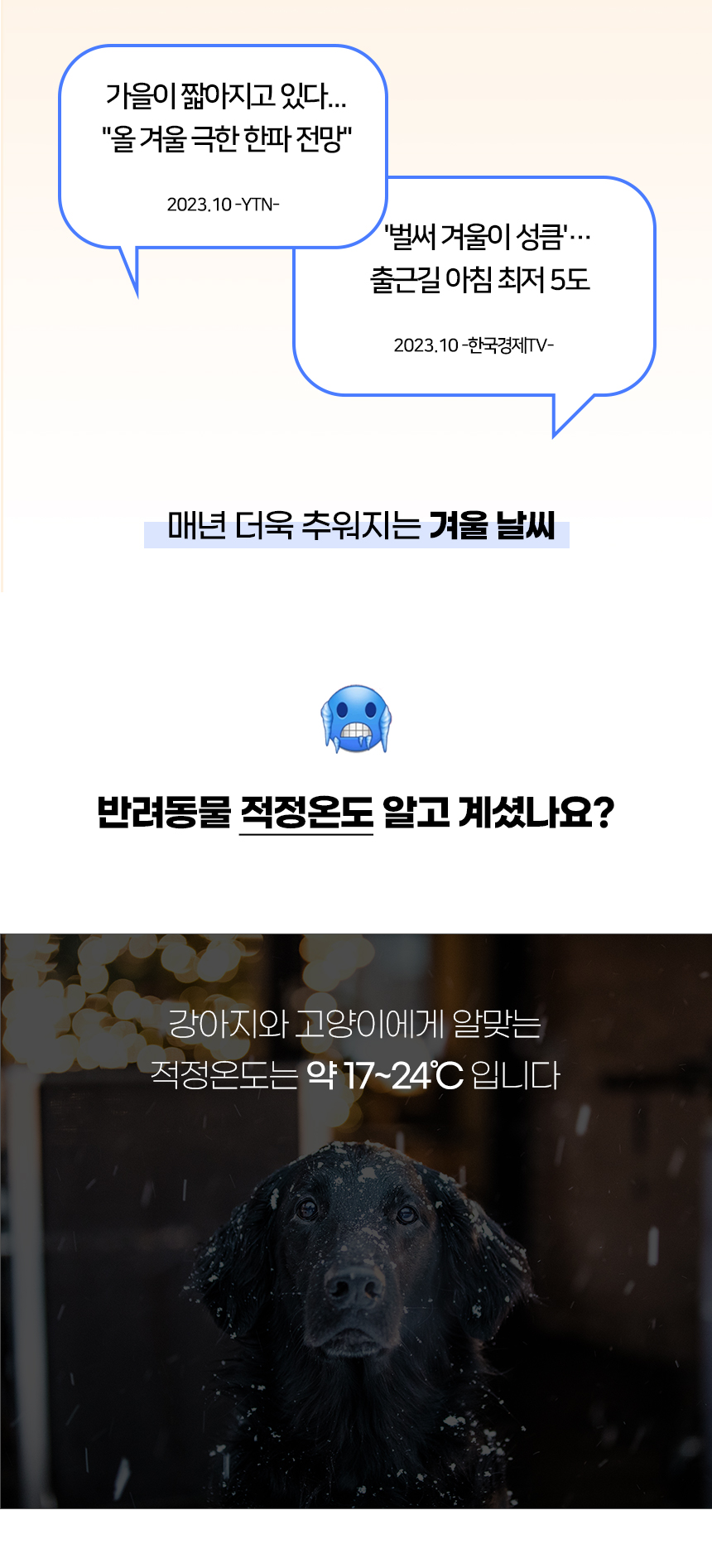 고래펫_일반 (2).jpg